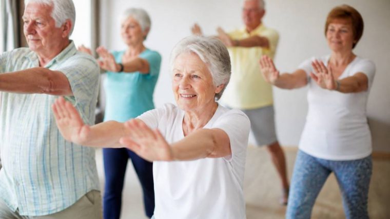 Programme d’activités seniors pour rester actif et épanoui